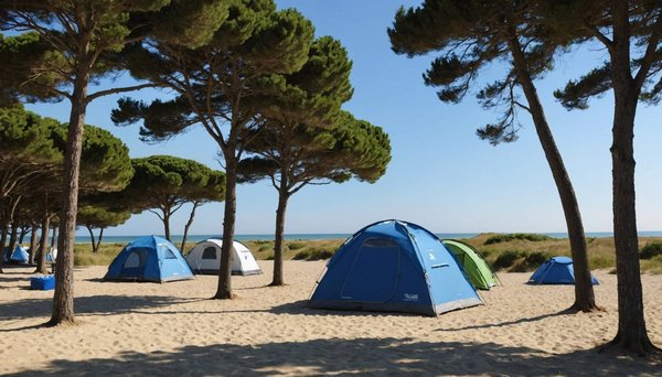 Découvrez le camping idéal près de la plage à vaux-sur-mer